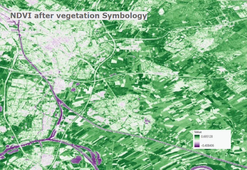 NDVI Classification after adapting Symbology to represent the vegetation